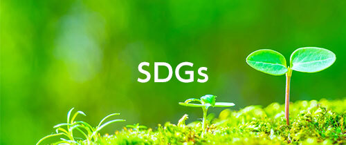 SDGs